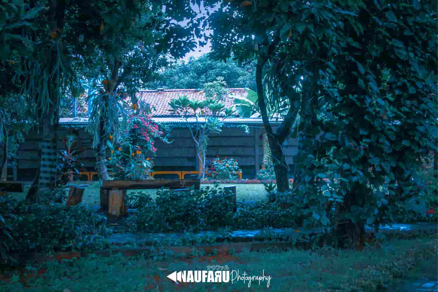 Fotografi pemandangan hijau dan suasana tenang di Cafe Alam Segar oleh NaufaRu